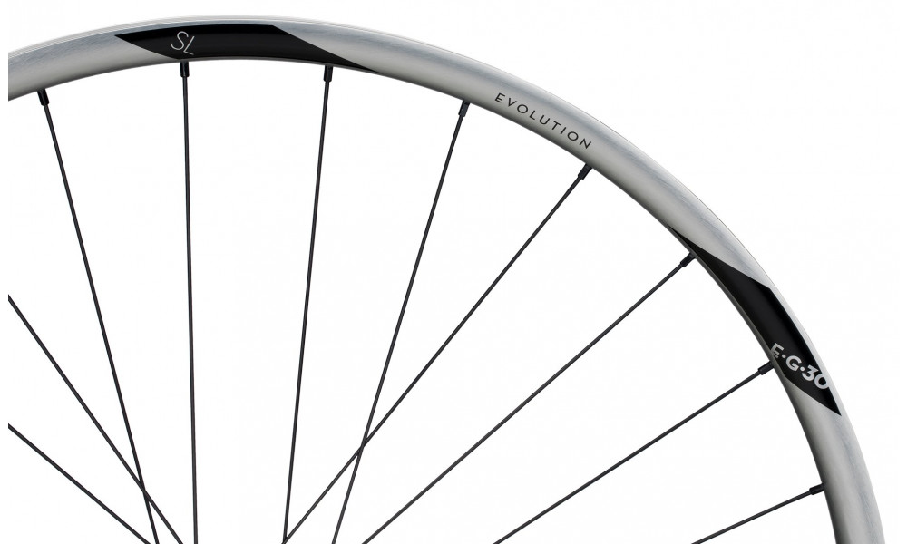 Tagajooks NEWMEN Evolution Alu SL E.G.30 29" 12x148 SP C-Lock 28H HG - 4