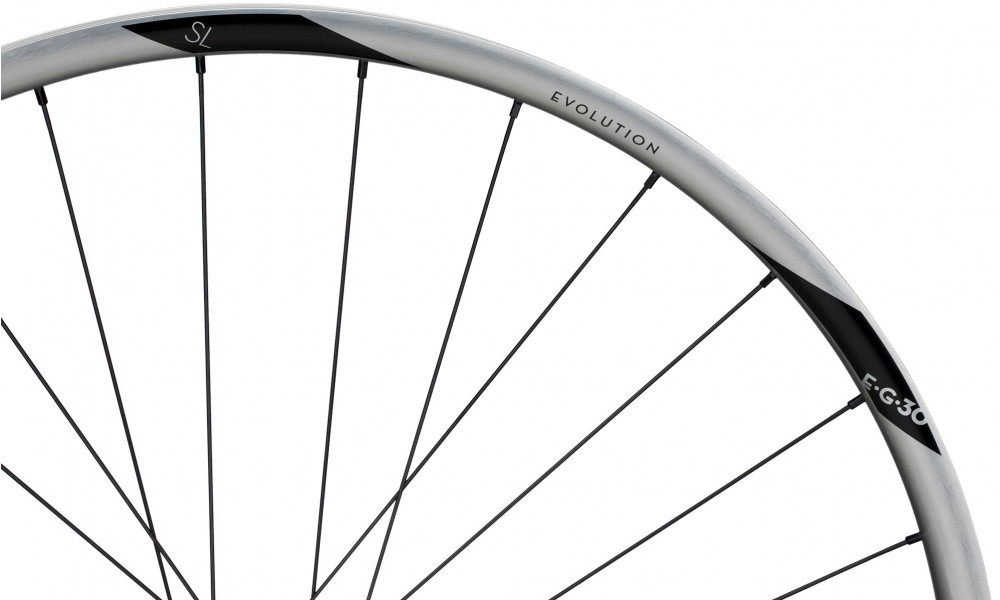 Tagajooks NEWMEN Evolution Alu SL E.G.30 29" 12x148 SP C-Lock 28H XD - 4