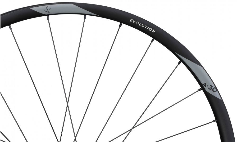 Tagajooks NEWMEN Evolution Alu SL A.30 27.5" 12x148 SP 6-bolt 28H XD - 4