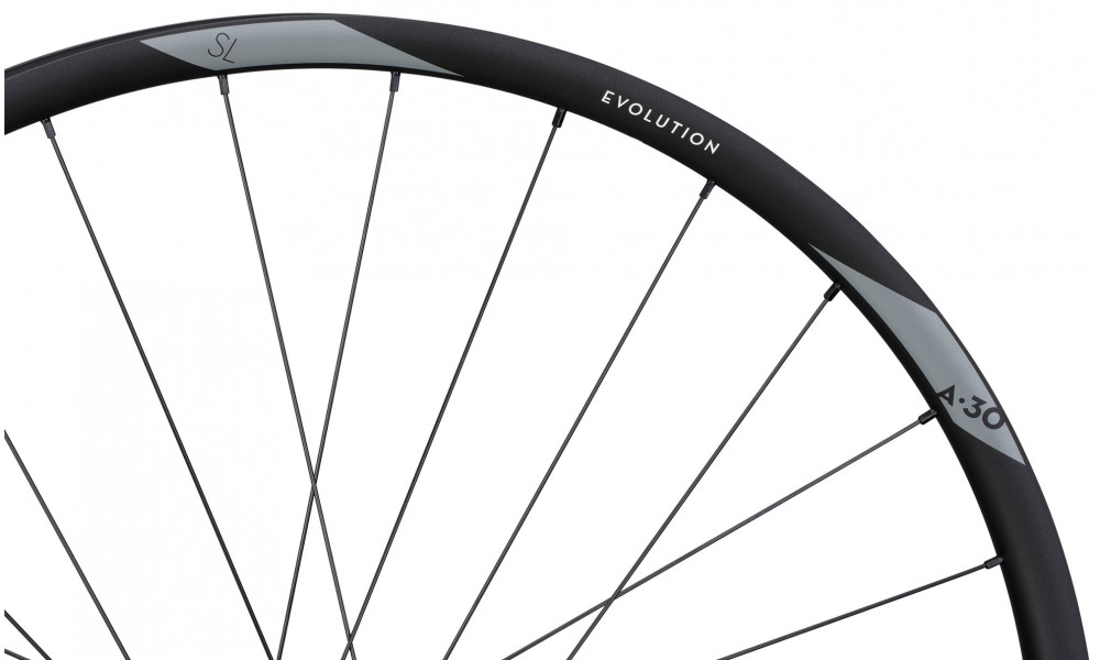 Tagajooks NEWMEN Evolution Alu SL A.30 29" 12x148 SP 6-bolt 28H HG - 4