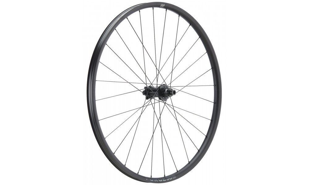 Tagajooks NEWMEN Forge Alu 30 base 29" 28H SP 6-bolt 12x148 MicroSpline 