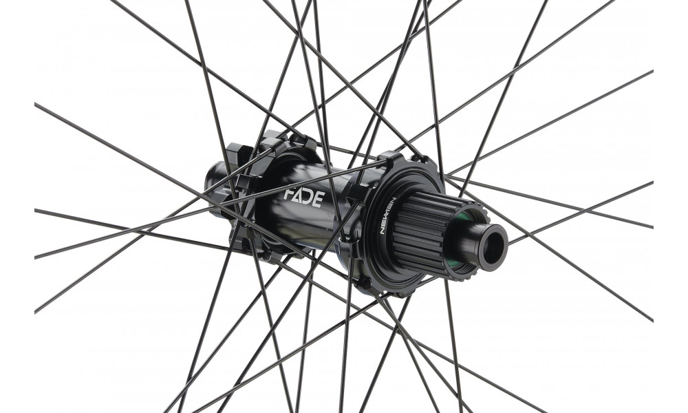 Tagajooks NEWMEN Forge Alu 30 DH 29" 32H SP 6-bolt 12x148 MicroSpline 