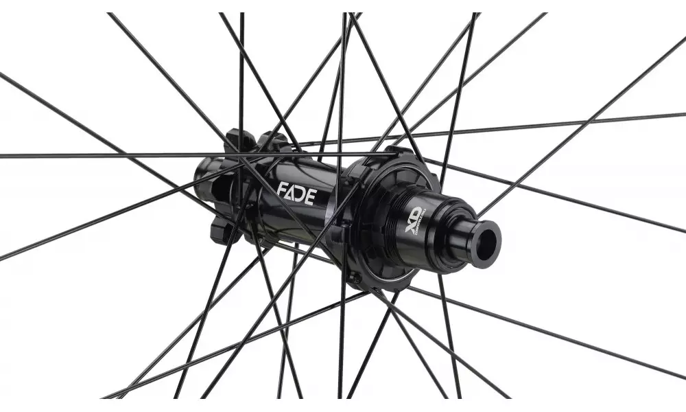 Tagajooks NEWMEN Forge Alu 30 DH 29" 32H SP 6-bolt 12x157 XD 
