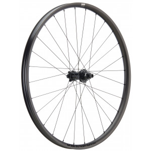Tagajooks NEWMEN Phase Carbon 30 base 29" 28H SP 6-bolt 12x148 HG