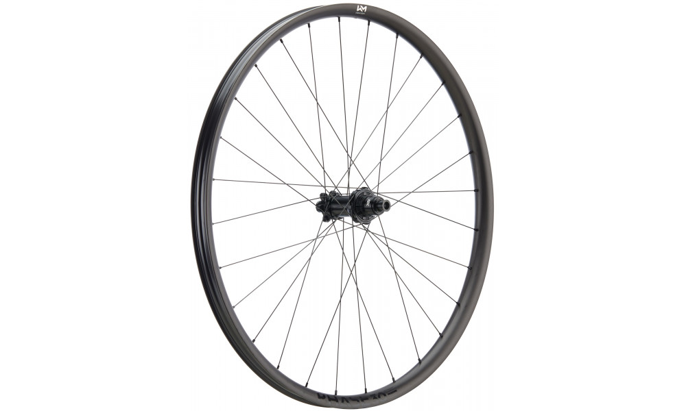 Tagajooks NEWMEN Phase Carbon 30 base 29" 28H SP 6-bolt 12x148 XD 