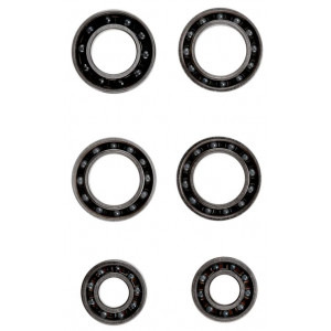 Rattarummu uuenduskomplekt CeramicSpeed Coated ENVE-2-C for ENVE (alloy/rim) Shimano Coated (109575)