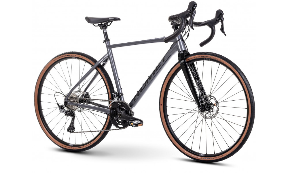 Jalgratas Romet Aspre 3 2025 grey-black - 1