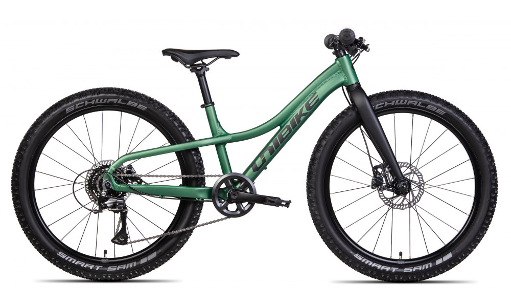 Jalgratas Unibike Rock 24 2025 green 