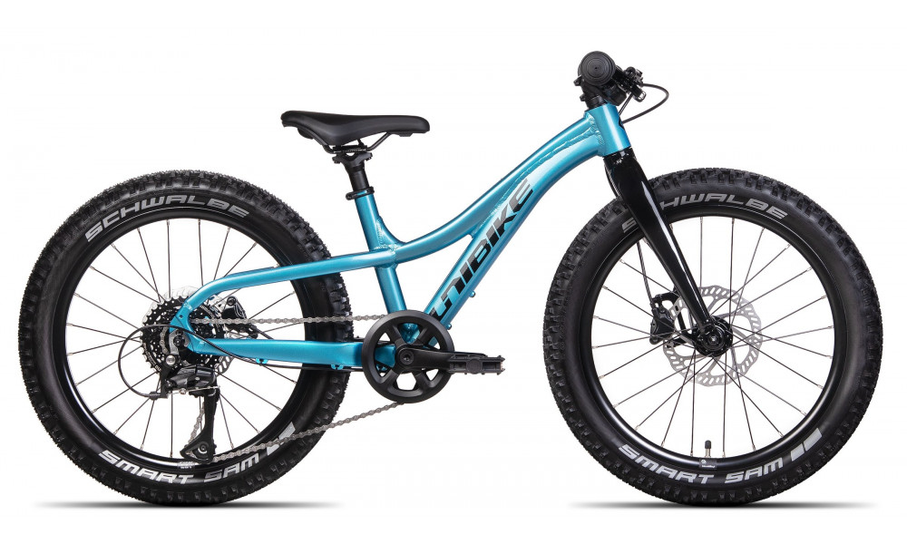 Jalgratas Unibike Dart 20 2025 blue 