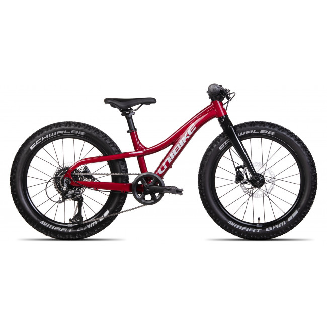 Jalgratas Unibike Dart 20 2025 red