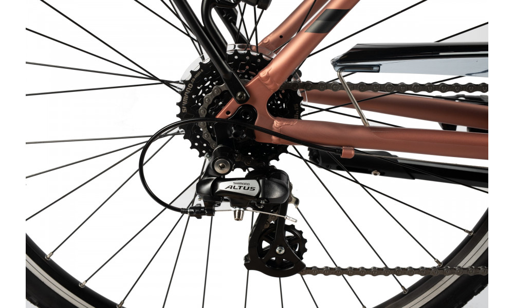 Jalgratas Unibike Vision LDS 2025 coral - 2