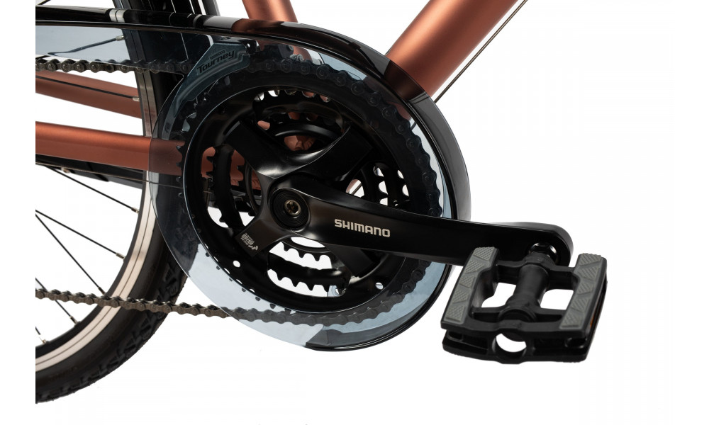 Jalgratas Unibike Vision LDS 2025 coral - 5