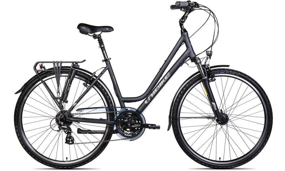 Jalgratas Unibike Vision LDS 2025 grey - 1