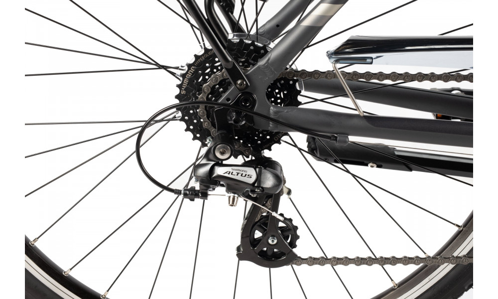 Jalgratas Unibike Vision LDS 2025 grey - 4