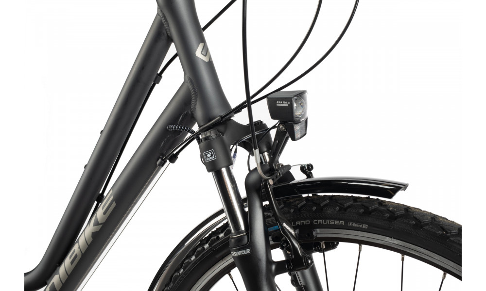 Jalgratas Unibike Vision LDS 2025 grey - 6