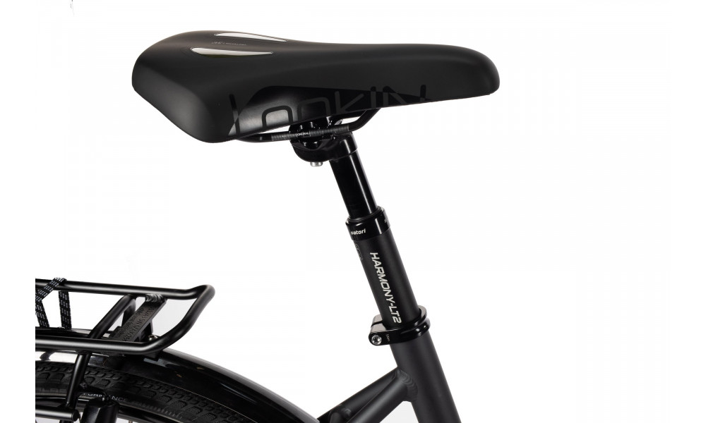 Jalgratas Unibike Atlantis LDS 2025 grey - 2