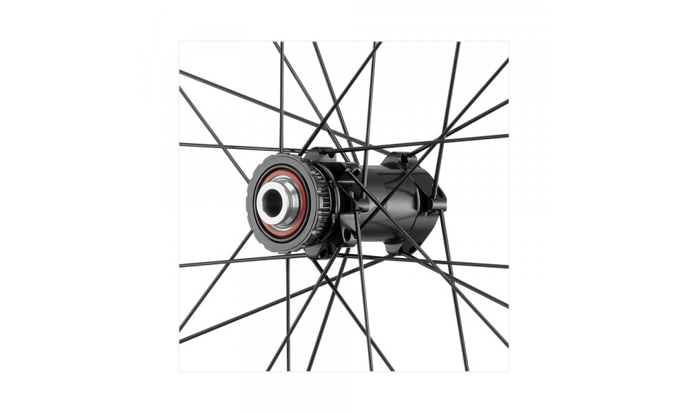 Jalgratta rataste komplekt Fulcrum Wind 55 DB 2WF C19 AFS front HH12 - rear HH12/142 with DRP - 3