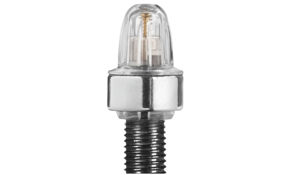 Ventiili tolmukaitse Schwalbe SV with magnet transparent (2 tk.) 