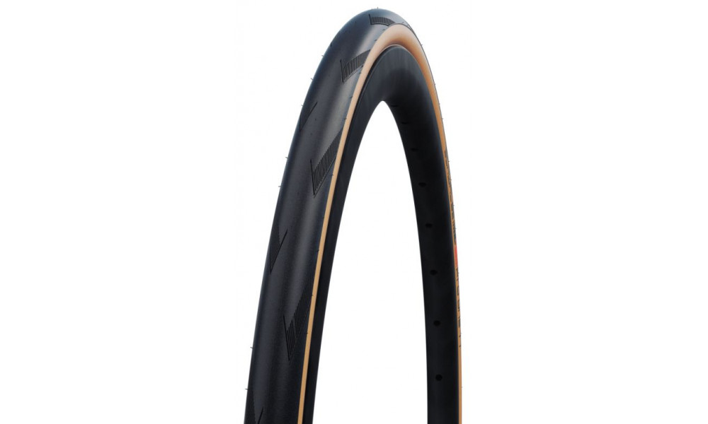 Väliskumm 20" Schwalbe Pro One TT Record Edition HS 462 Evo Fold TLE 28-406 / 20x1.10 Super Race Addix Race 