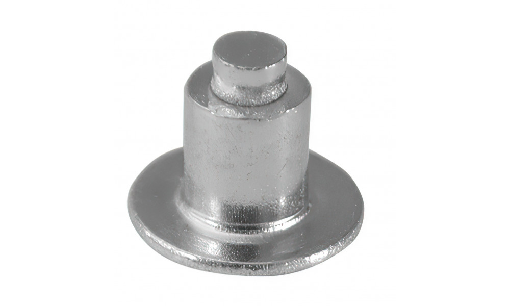 Rehvide naastuga talverehvide jaoks Naastud Schwalbe Steel 