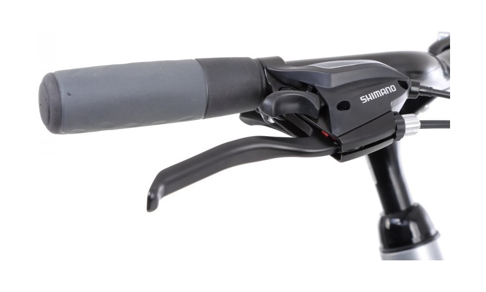 Jalgratas Romet Wagant 5 28" 2022 silver-graphite - 23