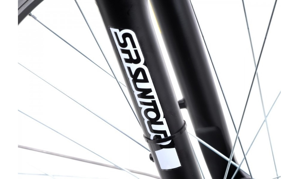 Jalgratas Romet Wagant 5 28" 2022 silver-graphite - 25