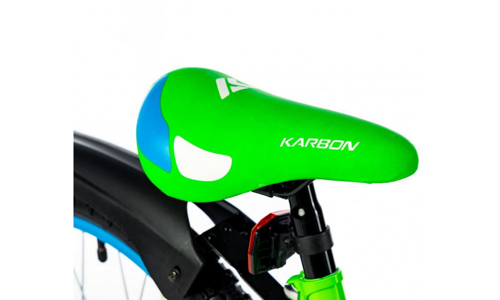 Jalgratas Karbon Alvin 20 green-blue - 12