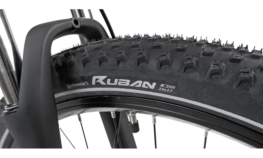 Jalgratas Romet Rambler 29" Disc Limited silver-black - 4