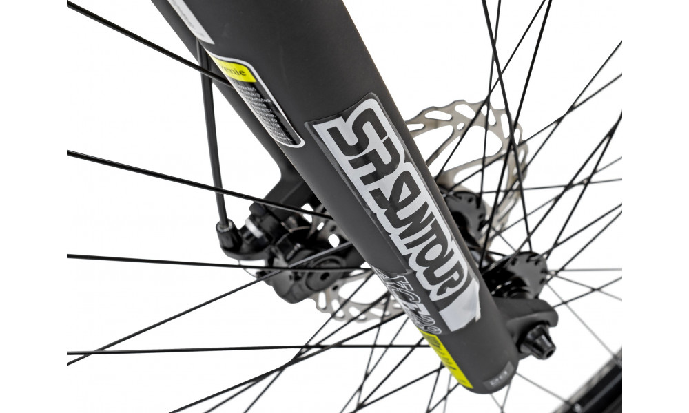 Jalgratas Romet Rambler 29" Disc Limited silver-black - 6