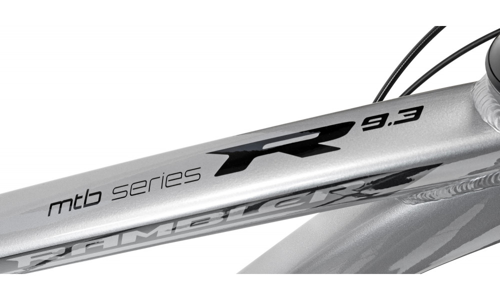 Jalgratas Romet Rambler 29" Disc Limited silver-black - 8