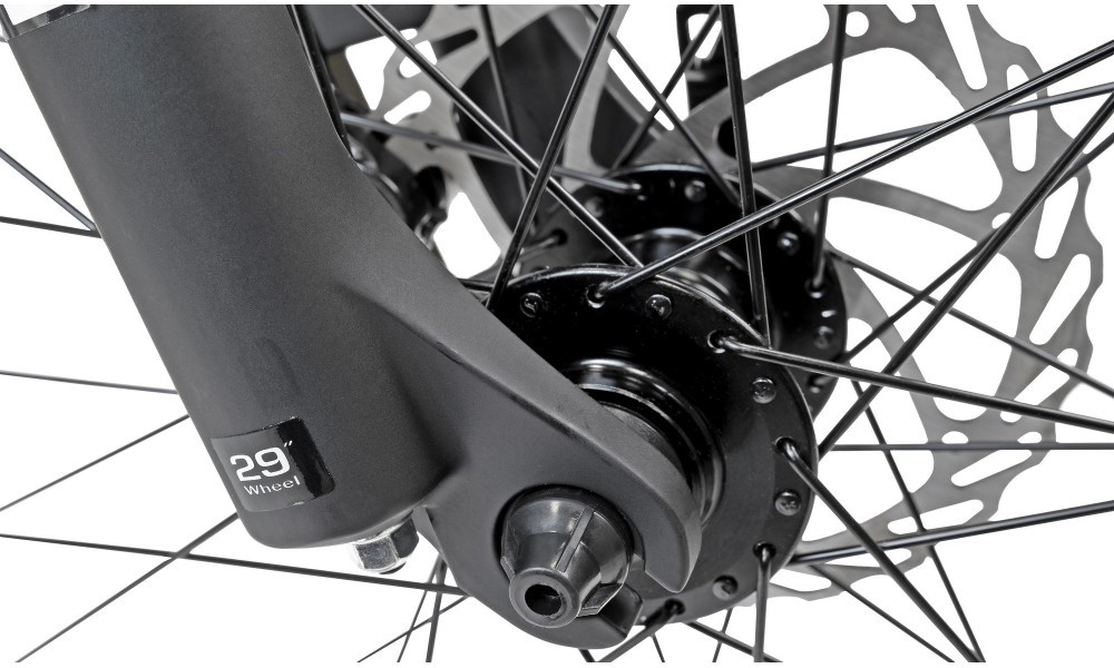 Jalgratas Romet Rambler 29" Disc Limited silver-black - 9