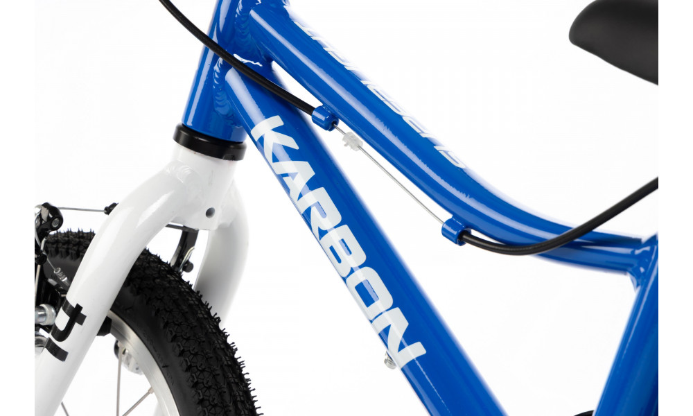 Jalgratas Karbon Superlight 14 blue - 3