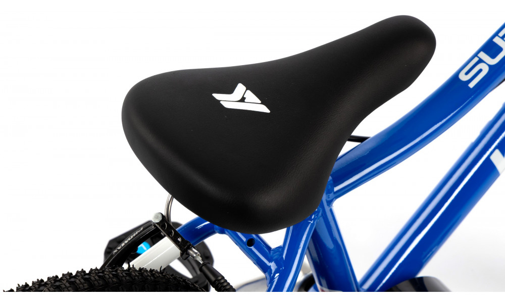 Jalgratas Karbon Superlight 16 blue - 3