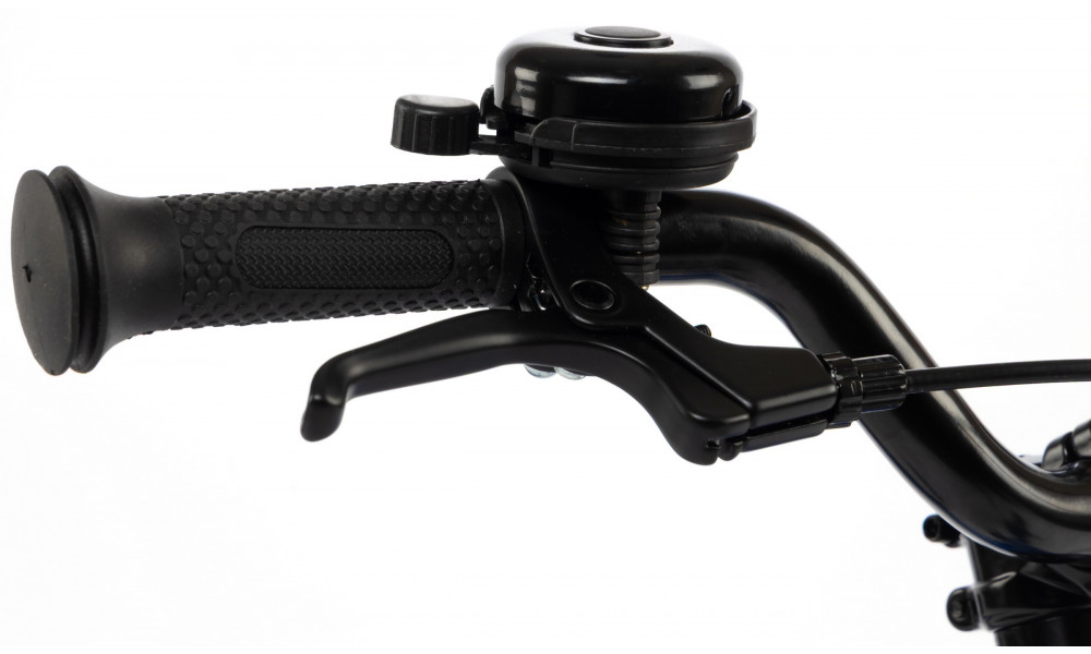 Jalgratas Karbon Superlight 16 blue - 5