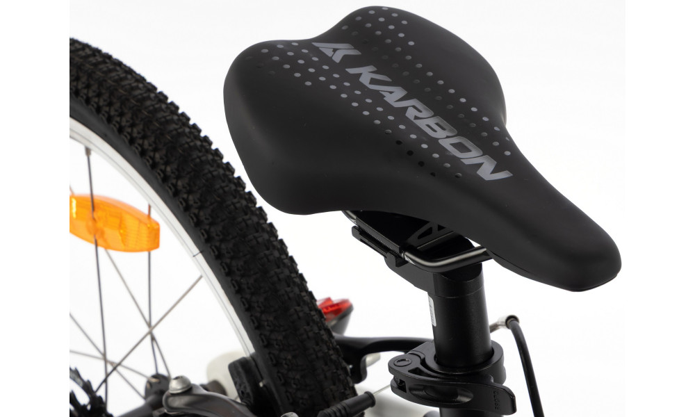 Jalgratas Karbon Superlight 20 black - 5