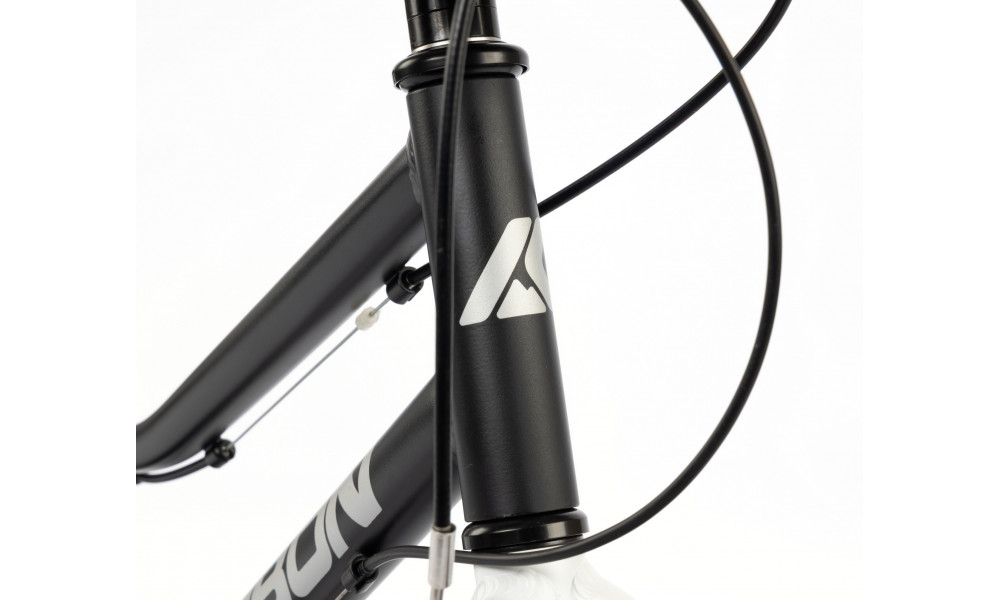 Jalgratas Karbon Superlight 20 black - 8