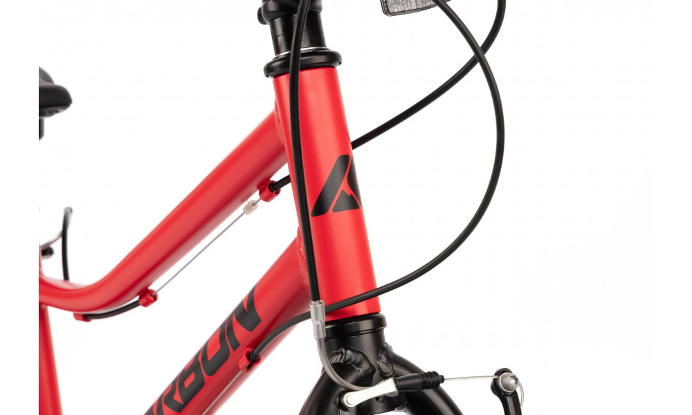 Jalgratas Karbon Superlight 20 red - 7