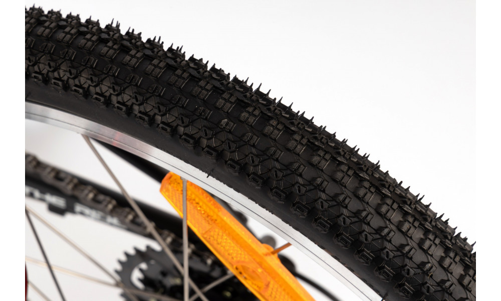 Jalgratas Karbon Superlight 20 red - 9