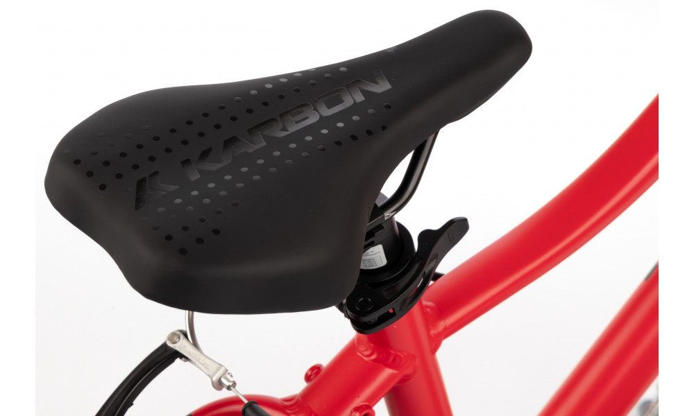 Jalgratas Karbon Superlight 20 red - 13