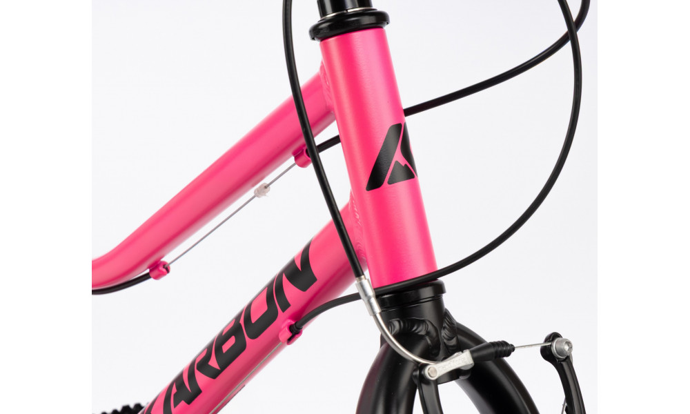 Jalgratas Karbon Superlight 20 pink - 8