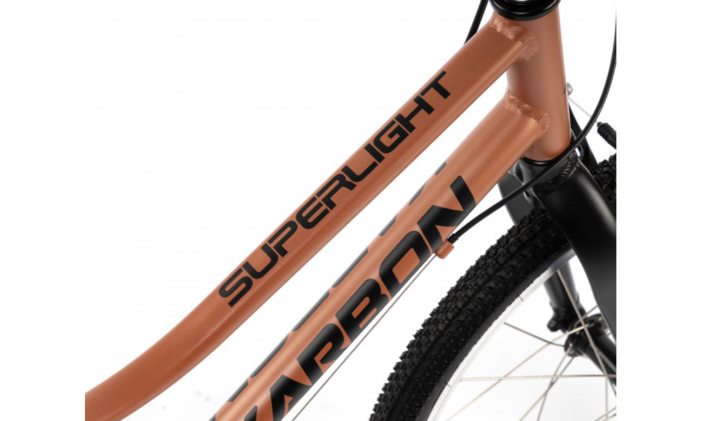 Jalgratas Karbon Superlight 20 copper - 5