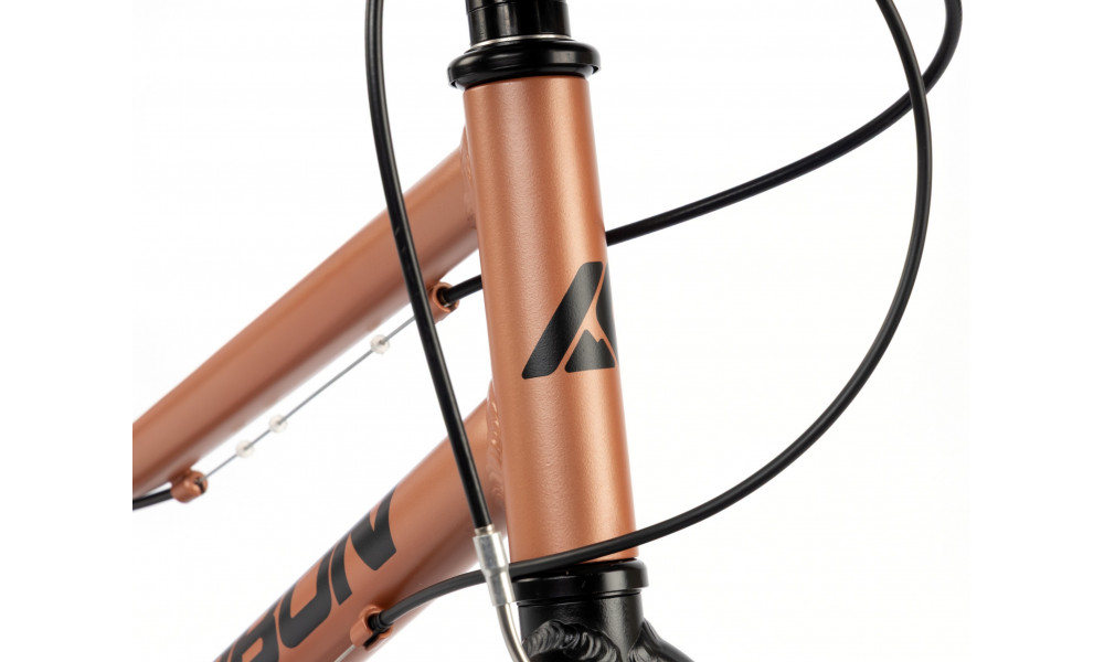 Jalgratas Karbon Superlight 20 copper - 8