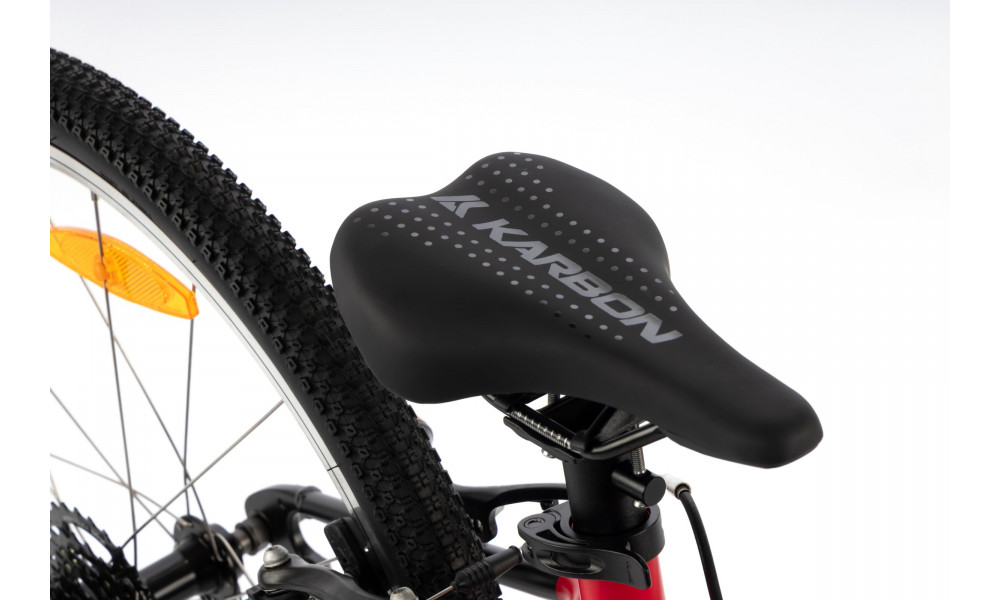 Jalgratas Karbon Superlight 24 red - 4