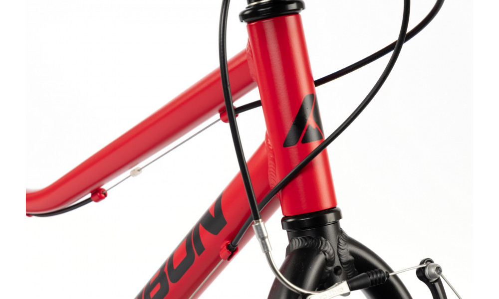 Jalgratas Karbon Superlight 24 red - 6