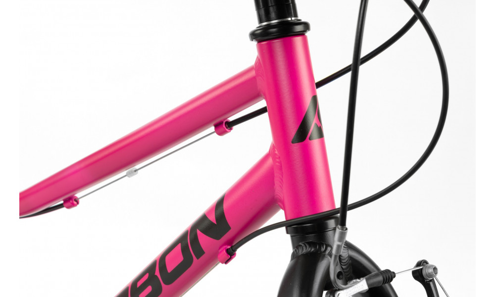 Jalgratas Karbon Superlight 24 pink - 9