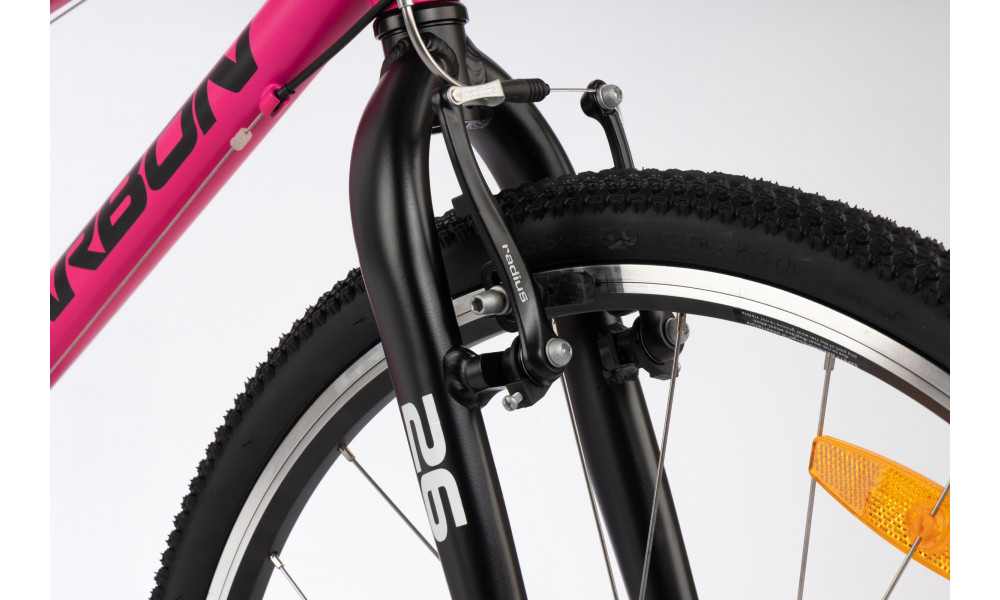 Jalgratas Karbon Superlight 26 pink - 6