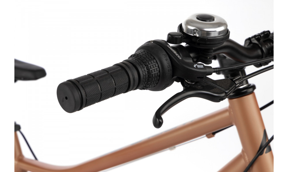 Jalgratas Karbon Superlight 26 copper - 5