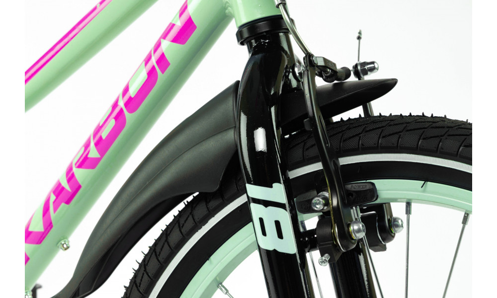 Jalgratas Karbon Jazz 18 mint - 7