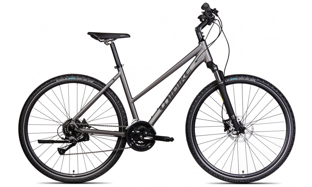 Jalgratas Unibike Flash LDS 2025 graphite 