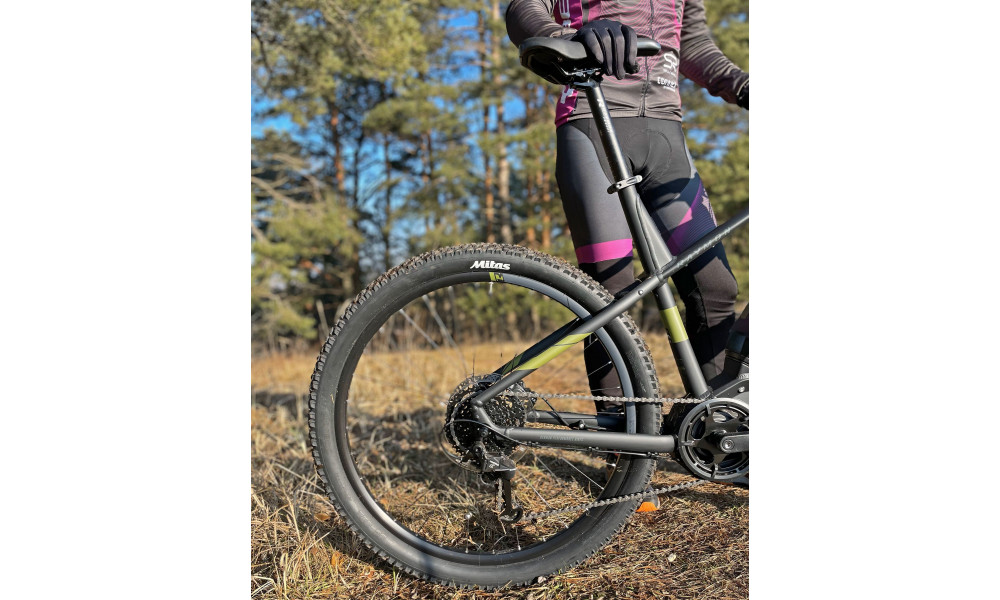 Elektrijalgratas Raymon HardRay E 2.0 29" black-armor - 11